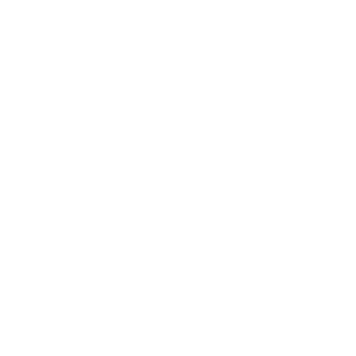 Megaphone Icon to go with Marketing Tips